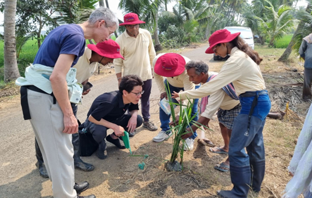 crop-infection-study