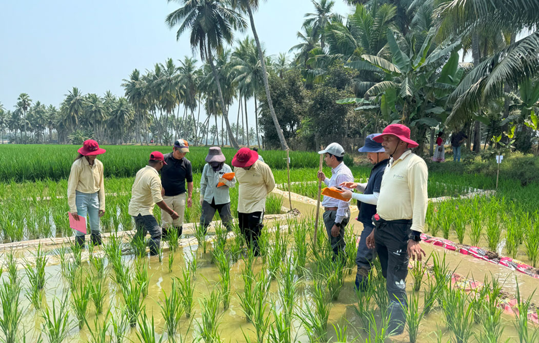 field-implementation